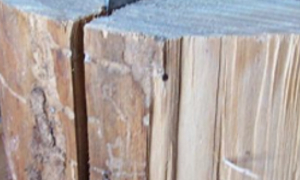 splitting wood - Paul Fosselman 300x180