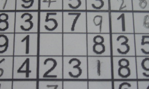 Sudoku - Twentyfour Students 300x180