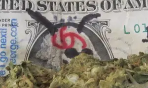marijuana and money - Raquel Baranow 900x540