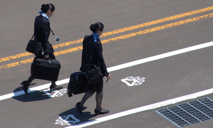 flight attendants - Miki Yoshihito