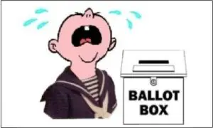 voting - Mike Licht 300x180